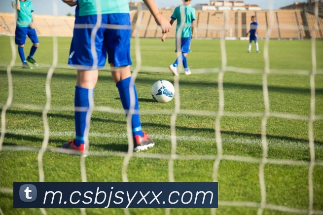 爱游戏ayx体育全站App